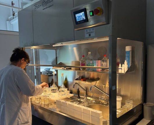 vizita Banca Mondiala 